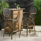 Outdoor Wicker and Aluminum Barstools, Set of 2