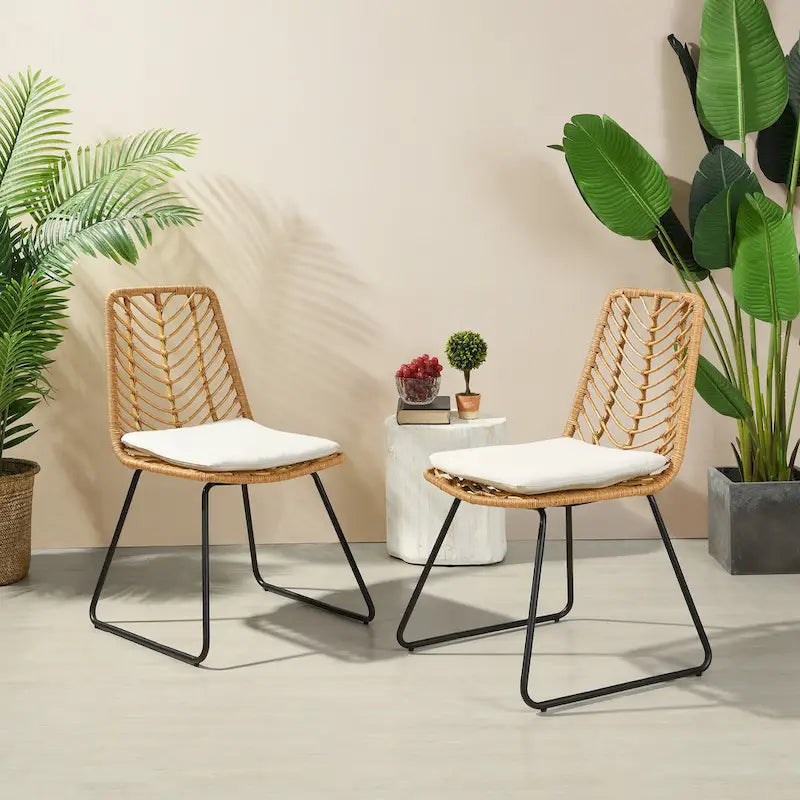 Chair with Cushion Set of 2
