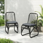Christopher Knight Home- Alexandra Outdoor PE Wicker Dining Chairs with Cushions (Set of 2)