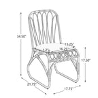 Christopher Knight Home- Alexandra Outdoor PE Wicker Dining Chairs with Cushions (Set of 2)