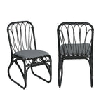 Christopher Knight Home- Alexandra Outdoor PE Wicker Dining Chairs with Cushions (Set of 2)