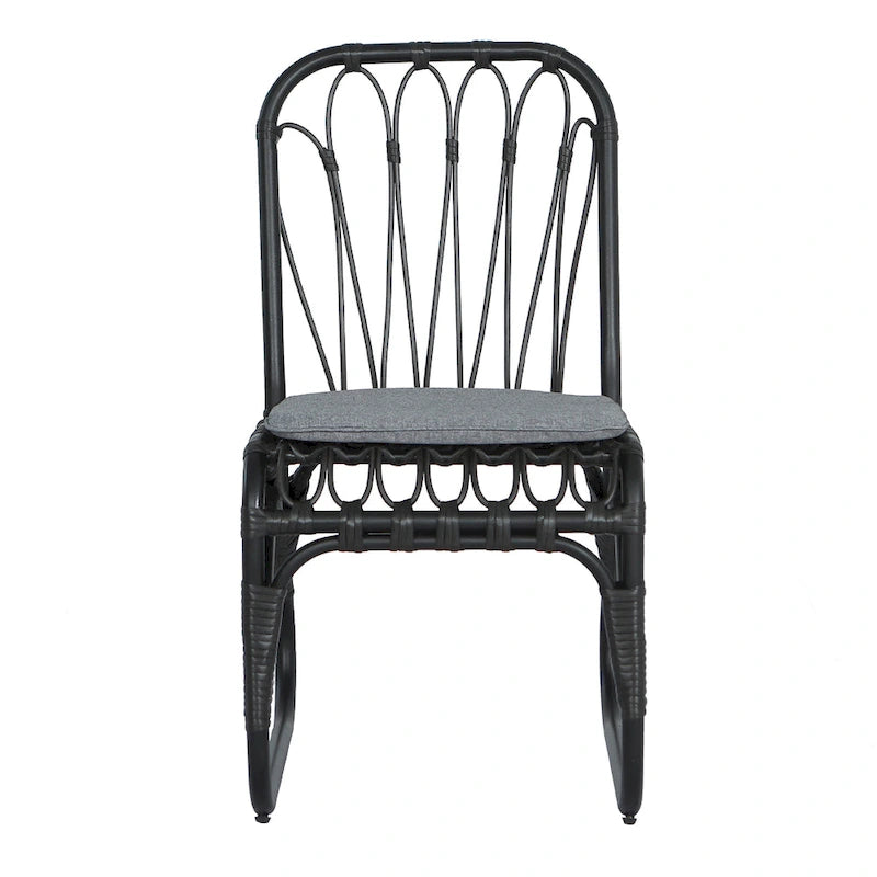 Christopher Knight Home- Alexandra Outdoor PE Wicker Dining Chairs with Cushions (Set of 2)