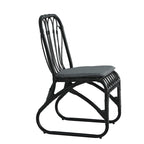 Christopher Knight Home- Alexandra Outdoor PE Wicker Dining Chairs with Cushions (Set of 2)