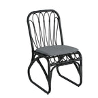 Christopher Knight Home- Alexandra Outdoor PE Wicker Dining Chairs with Cushions (Set of 2)