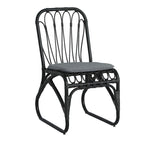 Christopher Knight Home- Alexandra Outdoor PE Wicker Dining Chairs with Cushions (Set of 2)
