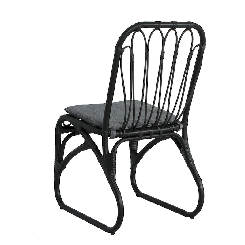 Christopher Knight Home- Alexandra Outdoor PE Wicker Dining Chairs with Cushions (Set of 2)