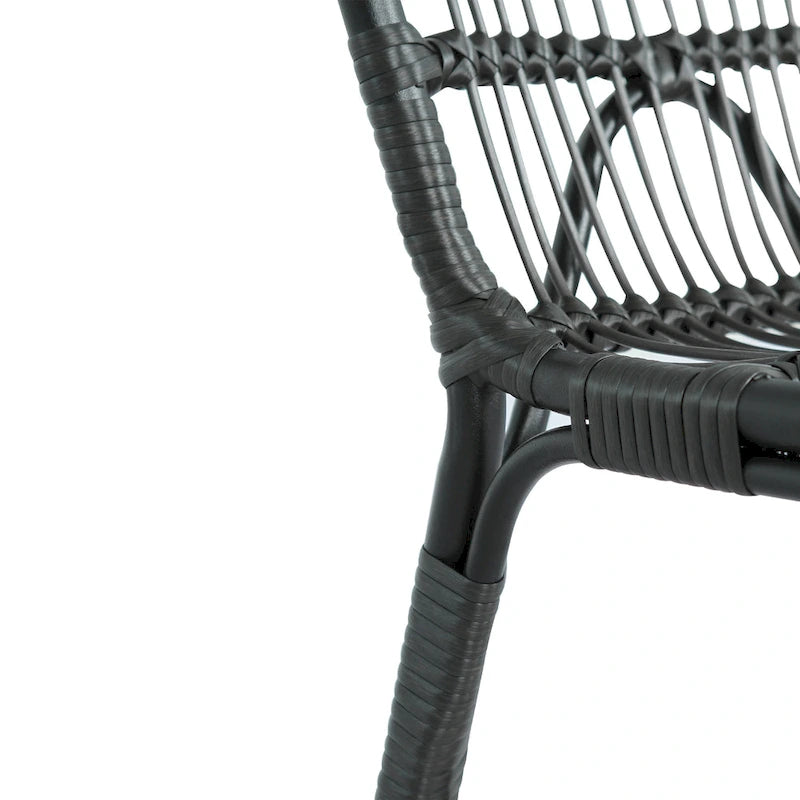 Christopher Knight Home- Alexandra Outdoor PE Wicker Dining Chairs with Cushions (Set of 2)