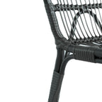 Christopher Knight Home- Alexandra Outdoor PE Wicker Dining Chairs with Cushions (Set of 2)