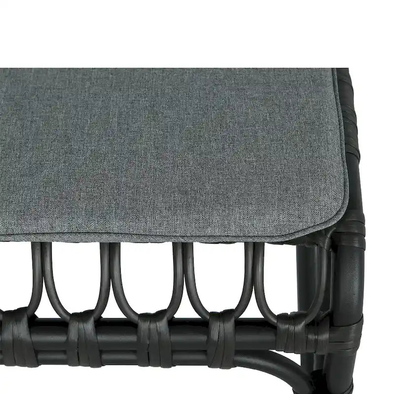 Christopher Knight Home- Alexandra Outdoor PE Wicker Dining Chairs with Cushions (Set of 2)