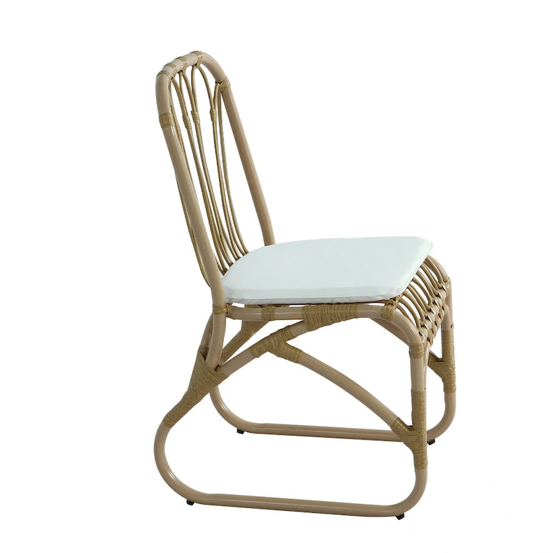 Christopher Knight Home- Alexandra Outdoor PE Wicker Dining Chairs with Cushions (Set of 2)