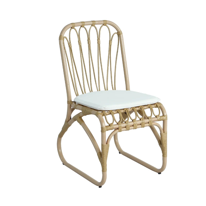 Christopher Knight Home- Alexandra Outdoor PE Wicker Dining Chairs with Cushions (Set of 2)
