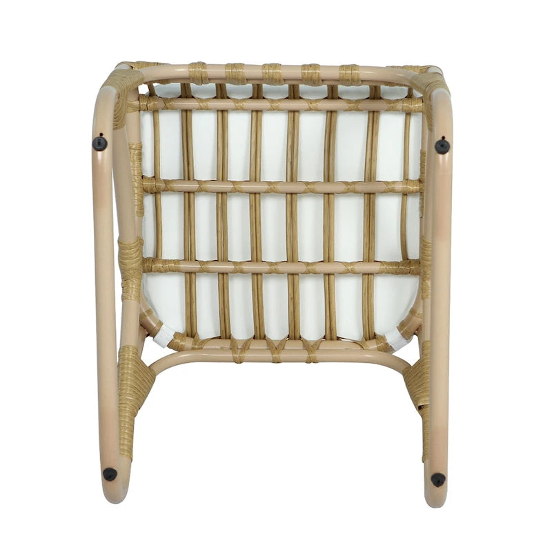 Christopher Knight Home- Alexandra Outdoor PE Wicker Dining Chairs with Cushions (Set of 2)
