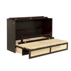 Versatile Queen Size Murphy Bed with Storage Functionality