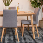 Orrin Mid-Century Fabric Dining Chair (Set of 2) by