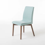 Orrin Mid-Century Fabric Dining Chair (Set of 2) by