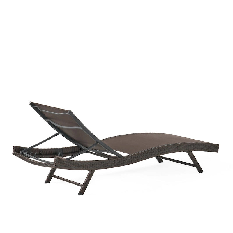 Christopher Knight Home Kauai Outdoor Chaise Lounge (Set of 2)