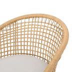 Arias Outdoor Wicker Club Chair with Cushion (Set of 2) by Christopher Knight Home