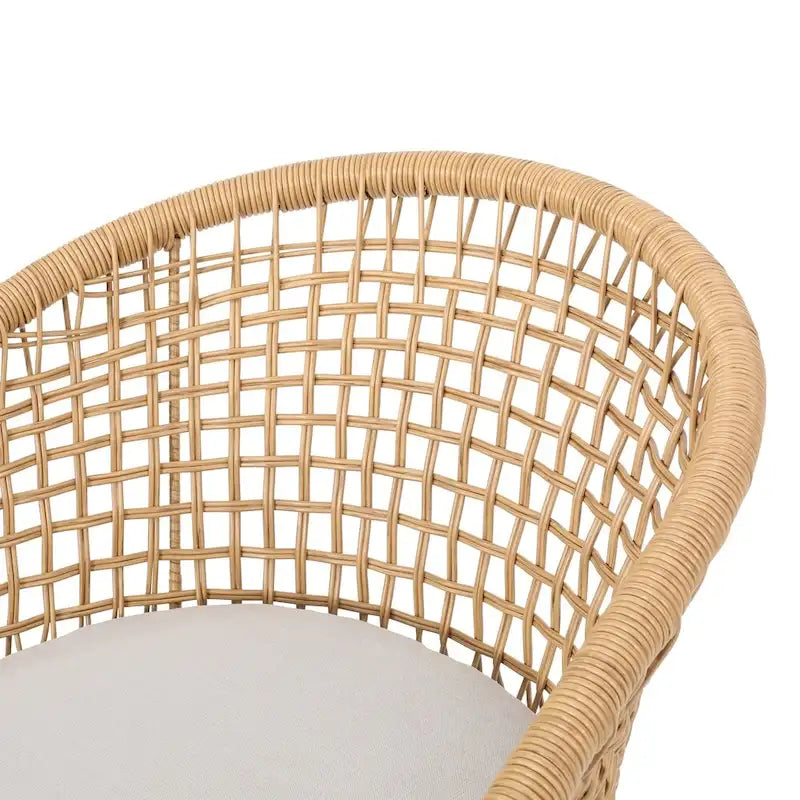 Arias Outdoor Wicker Club Chair with Cushion (Set of 2) by Christopher Knight Home