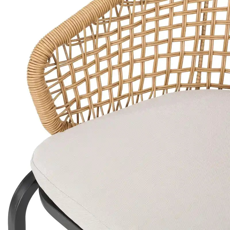 Arias Outdoor Wicker Club Chair with Cushion (Set of 2) by Christopher Knight Home