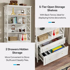 2 Drawer Black File Cabinet with Storage Shelves