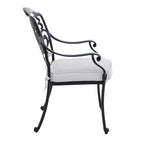 Saybrook Powder-coated Aluminum Arm Chair with Cushion, Set of 2