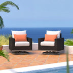 Milo Espresso 2 Piece Sunbrella Outdoor Patio Motion Club Chairs