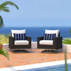 Milo Espresso 2 Piece Sunbrella Outdoor Patio Motion Club Chairs