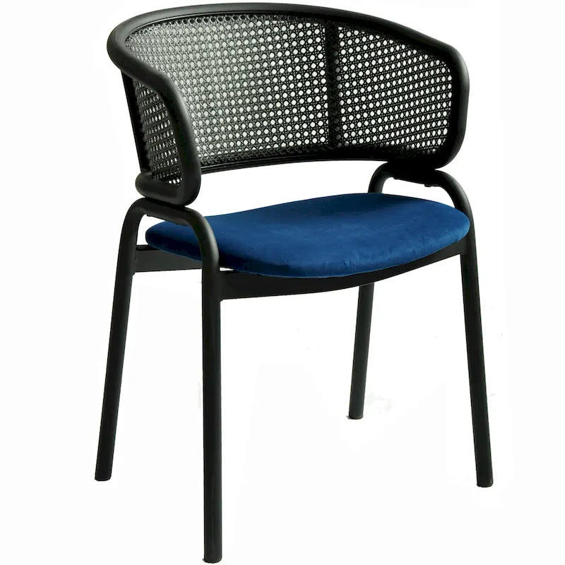 Ervilla Modern Upholstered Dining Chair with Cozy Armchair and Black Iron Legs for Dining Room Kitchen Patio