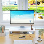 20 inch Monitor Stand Riser