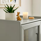 Floor Standing cabinet with Glass Door